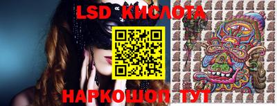 гидропоника Сланцы