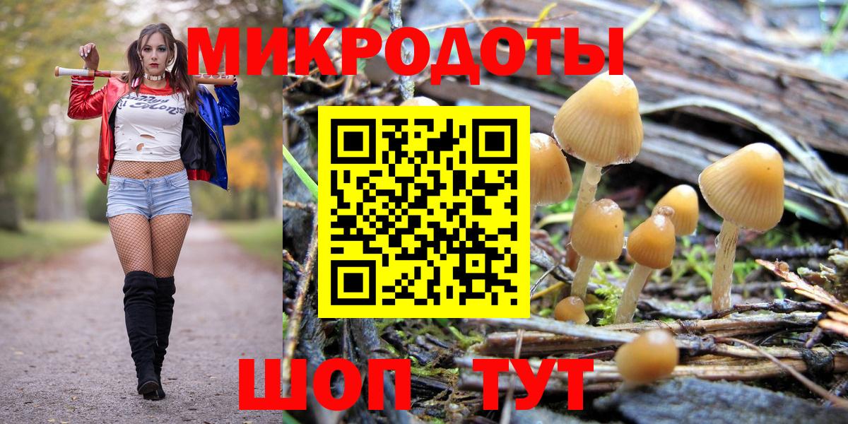 Галлюциногенные грибы Magic Shrooms  Вход с VPN  Псилоцибиновые грибы Psilocybine cubensis  Нижнеудинск 